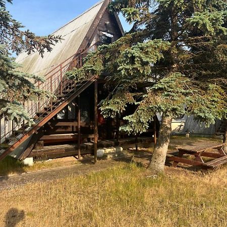 Sloneczna Osada Villa Дзивновек Екстериор снимка